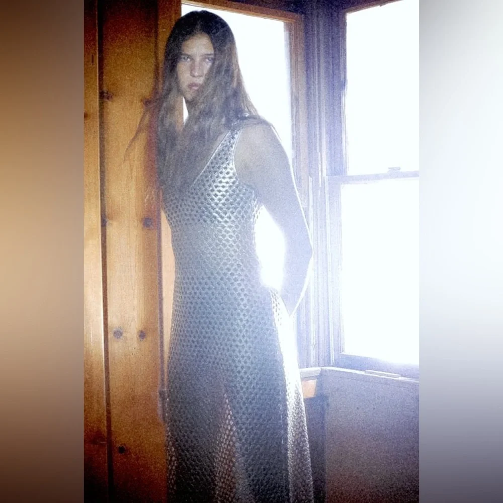 ZARA SILVER LONG MESH DRESS